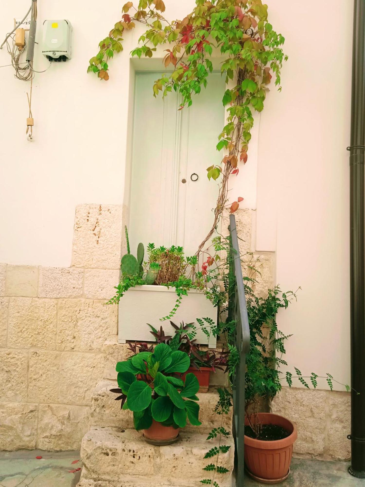 Il Borgo Antico B&B アルタムラ エクステリア 写真